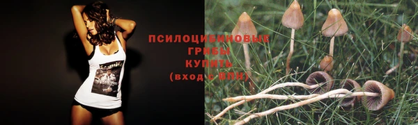 спиды Богородск