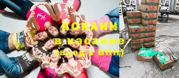 спиды Богородск