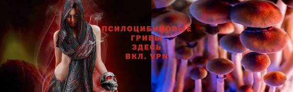 метадон Богданович