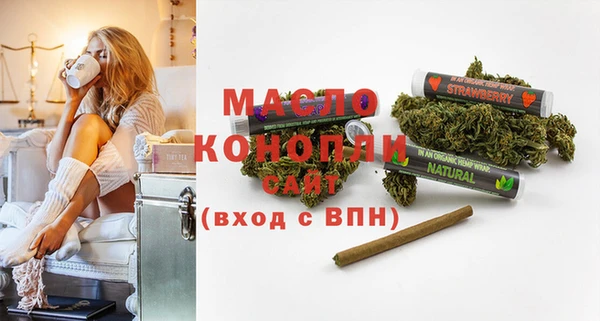 метадон Богданович