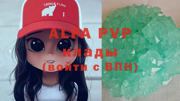 спиды Богородск