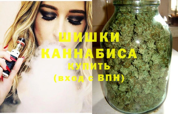 метадон Богданович