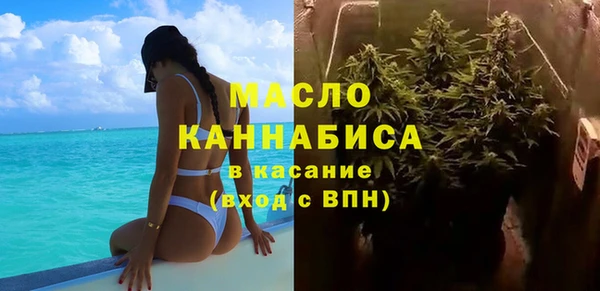 метадон Богданович
