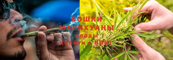 метадон Богданович