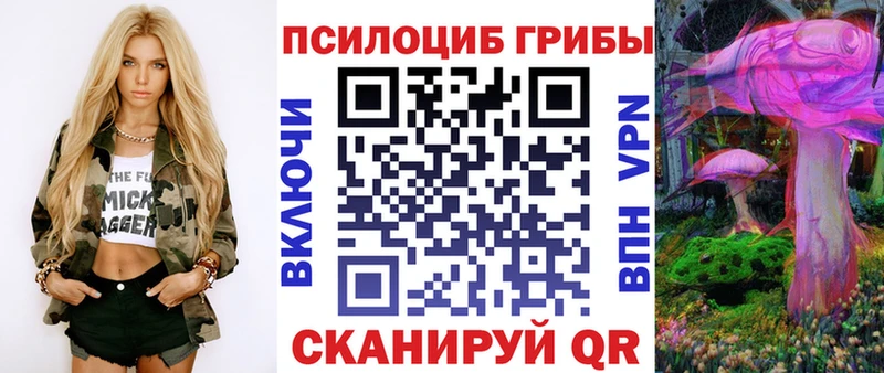 дарк нет Telegram  Мариинский Посад  Псилоцибиновые грибы Psilocybe  как найти закладки 